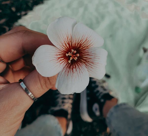 Close-up of a person's hands in a meditation mudra, with soft focus background.